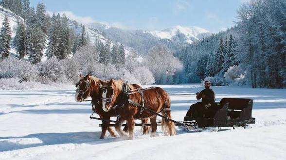 Sleigh Ride: Pre-Scented Beads