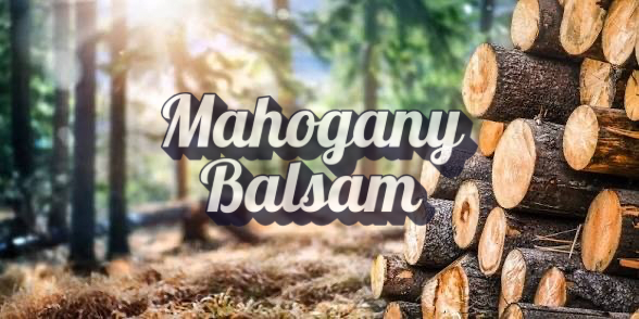 Mahogany Balsam (Type): Pre-Scented Beads