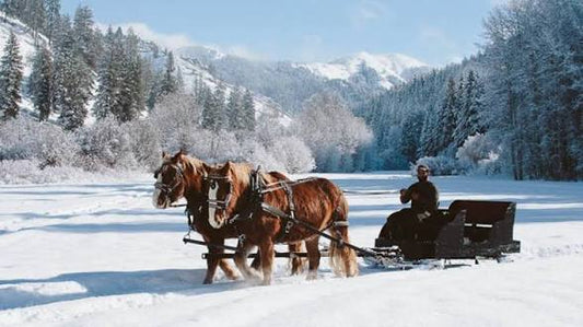 Sleigh Ride: Pre-Scented Beads