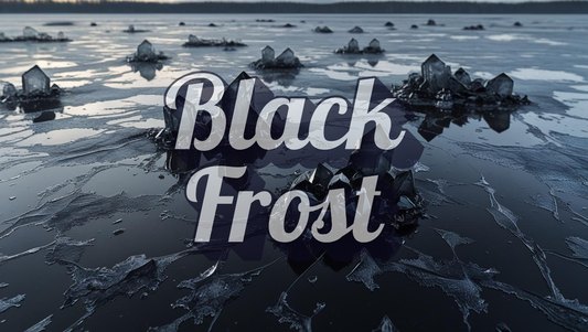 Black Frost (Type): Fragrance Oil