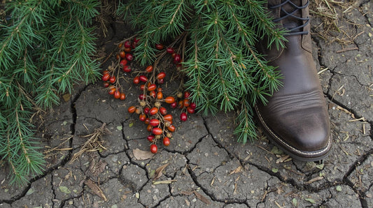 Cowboy Christmas: Pre-Scented Beads