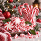 Twisted Peppermint (Type): Fragrance Oil