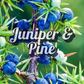 Juniper Berry & Pine (Type): Fragrance Oil