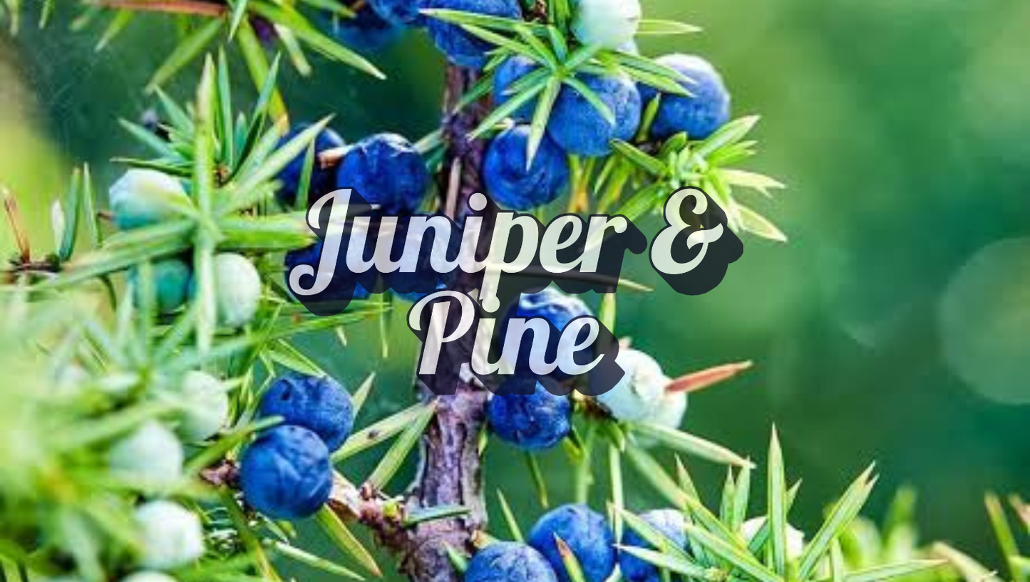 Juniper Berry & Pine (Type): Fragrance Oil