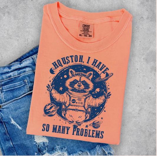 Houston I Have So Many Problems-Navy Ink