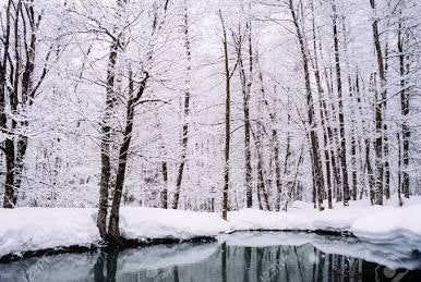 Iced Vanilla Woods: Pre-Scented Beads