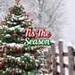 Tis The Season (Type): Fragrance Oil