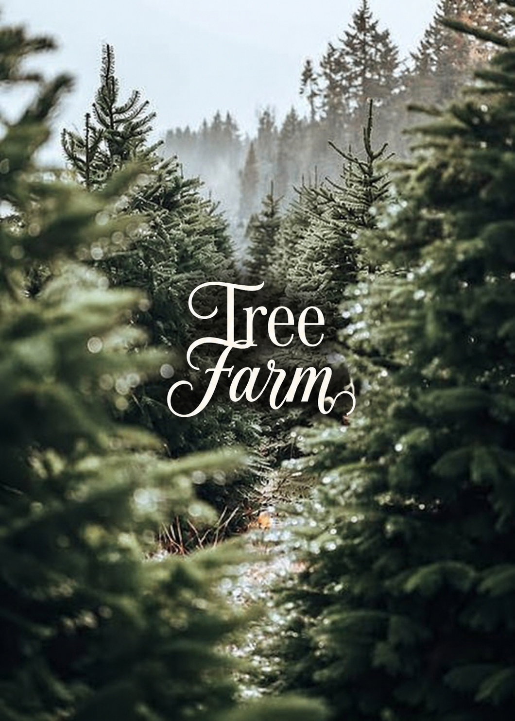 Tree Farm: (Type) Pre-Scented Beads