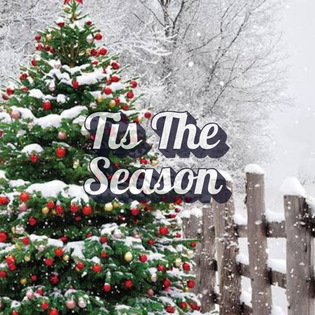 Tis The Season (Type): Fragrance Oil