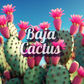 Baja Cactus (Type): Pre-Scented Beads